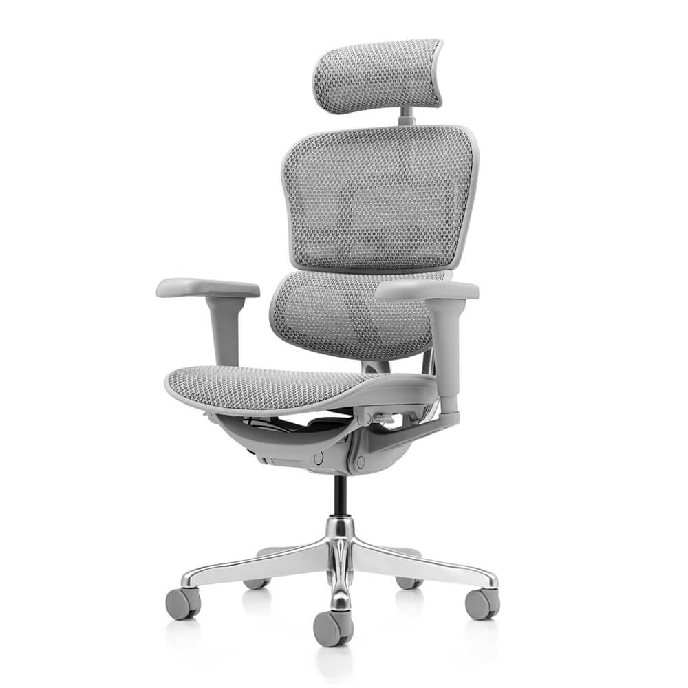 เก้าอี้เพื่อสุขภาพ DF PROCHAIR รุ่น Ergo Elite Ultra สีเทา